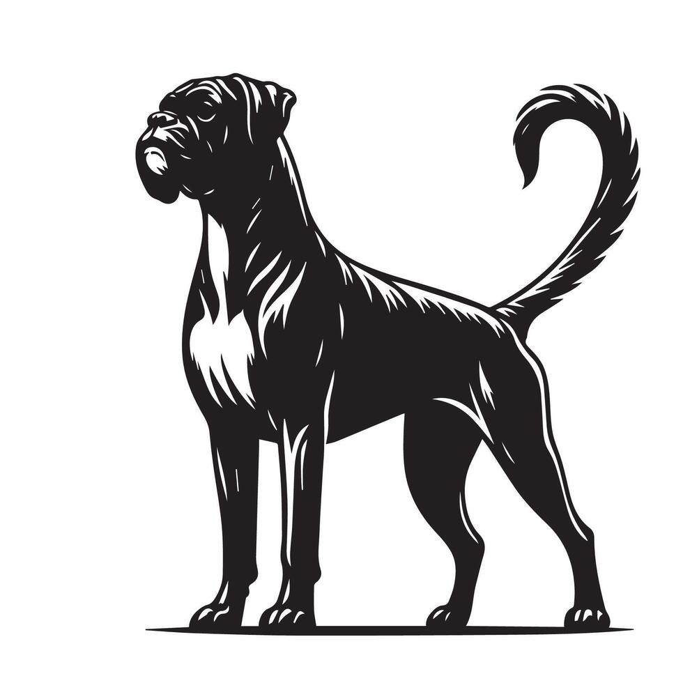 A Noble Boxer Dog illustration in black and white vector