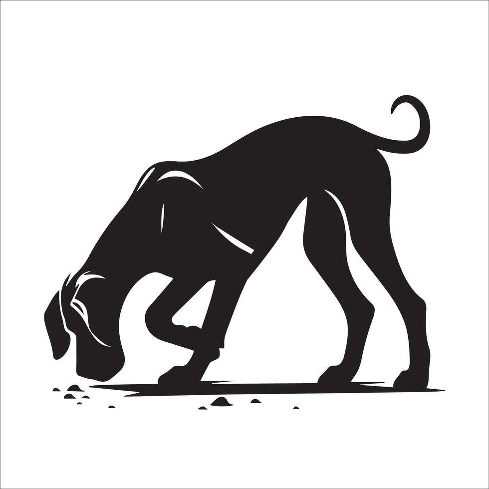 illustration of a Great Dane dog searching eating in black and white vector