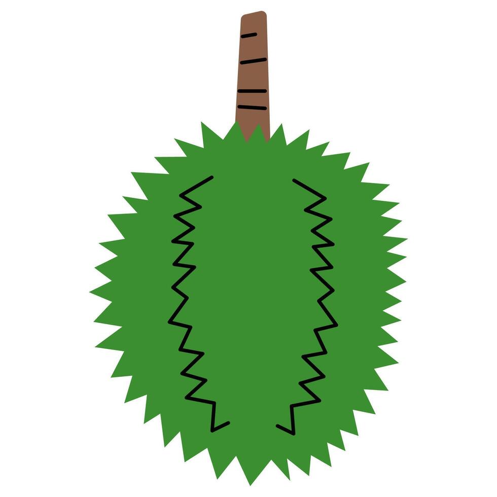 Durian cute on a white background, illustration. vector