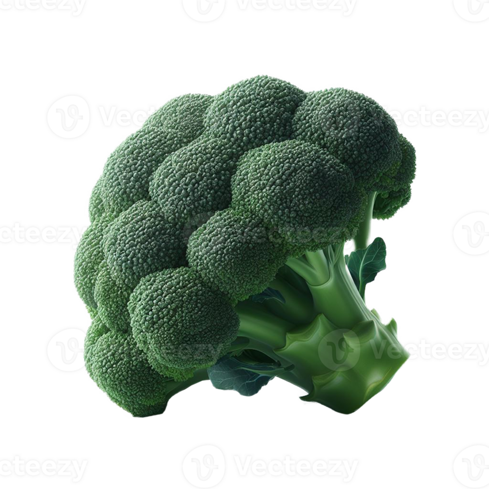 Single piece of organic green raw broccoli on isolated transparent background png