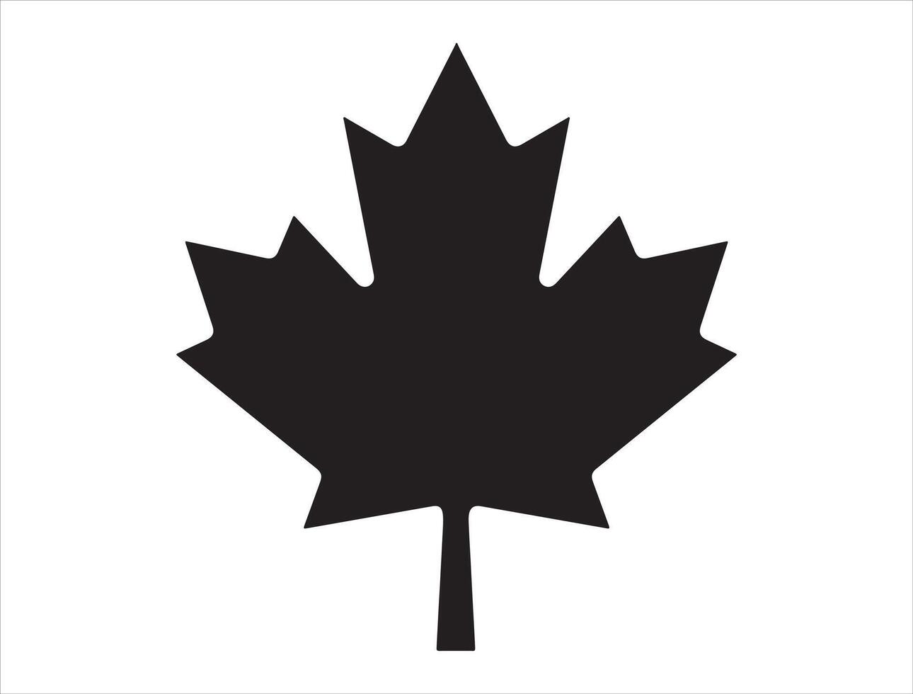 Canadian maple leaf silhouette on white background vector