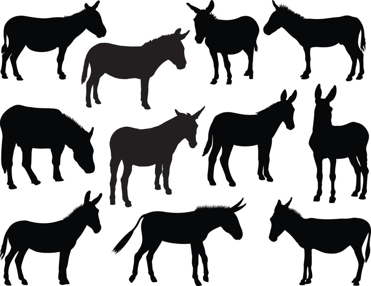 Donkey silhouette on white background vector