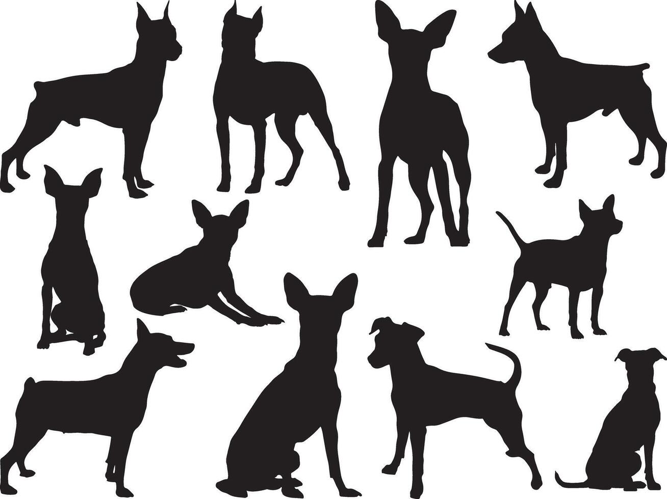 miniatura pinscher perros silueta en blanco antecedentes vector