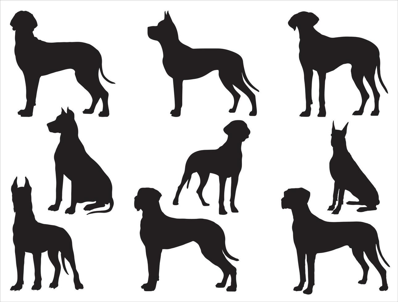 Great dane dogs silhouette on white background vector