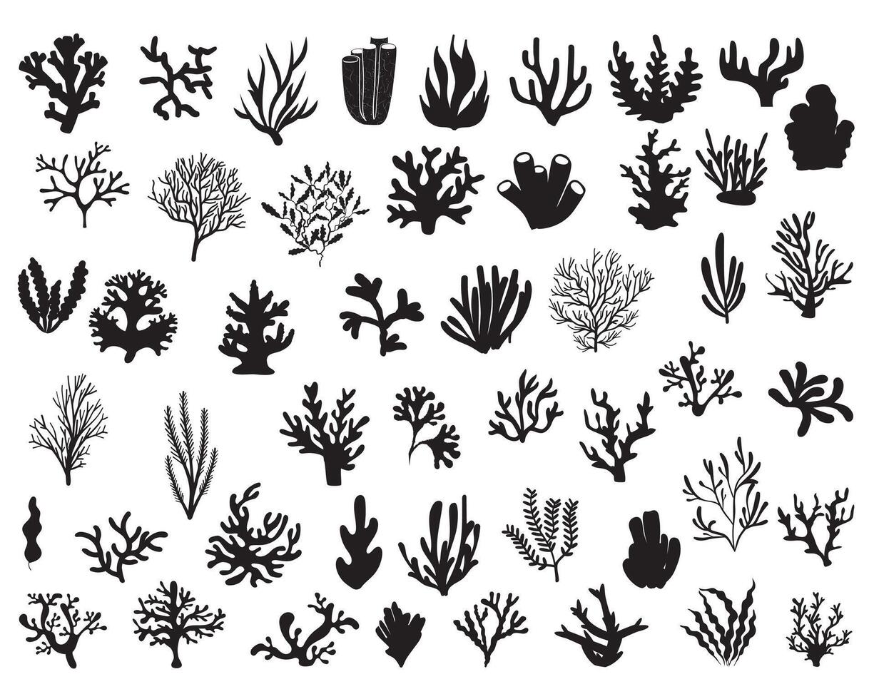 coral y algas marinas plantas silueta en blanco antecedentes vector