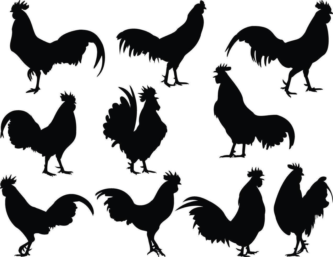 Rooster silhouette on white background vector