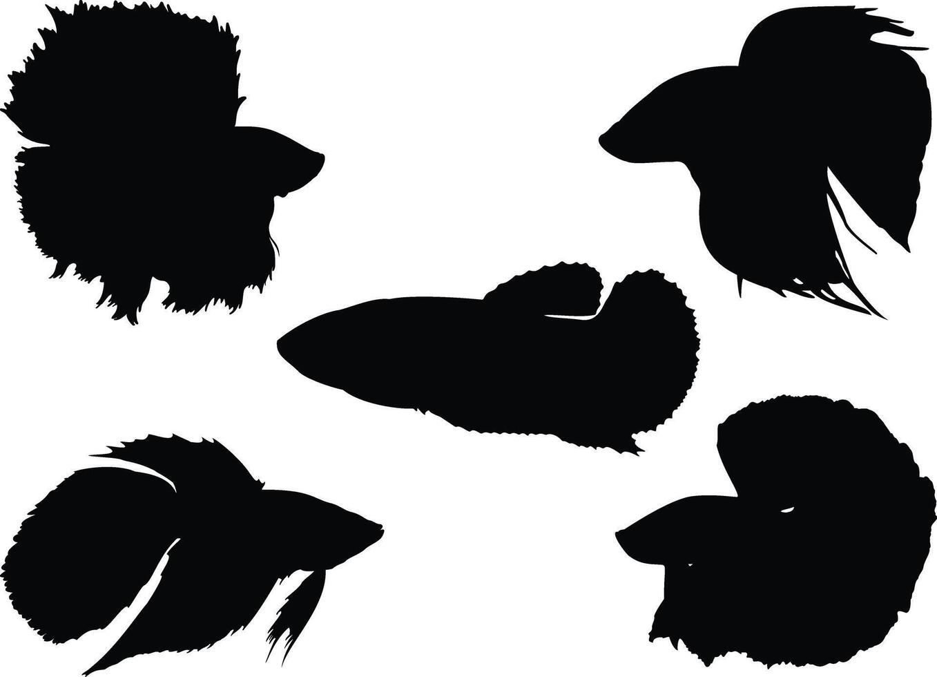 Betta fish silhouette on white background vector