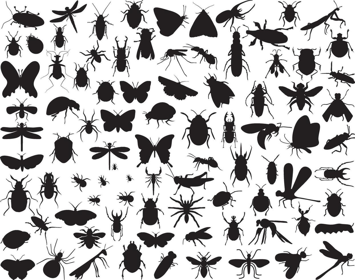 insectos silueta en blanco antecedentes vector