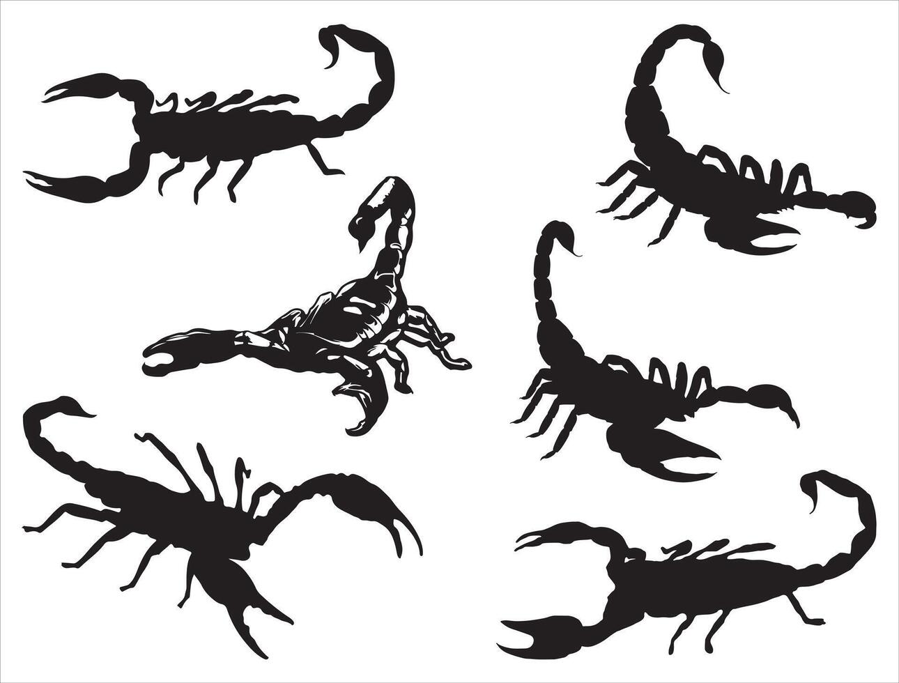Scorpion silhouette on white background vector