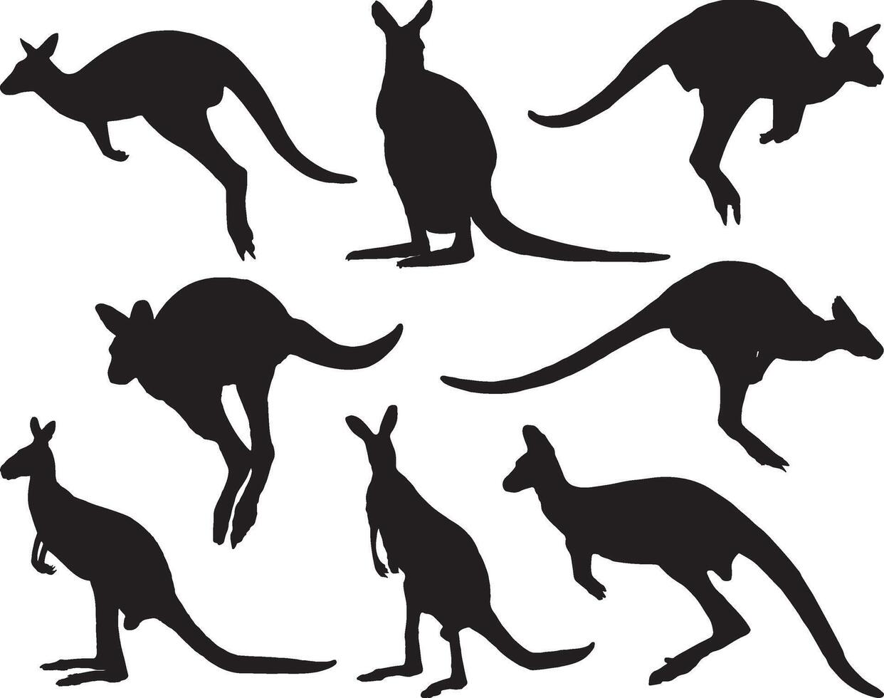 Wallaby silhouette on white background vector