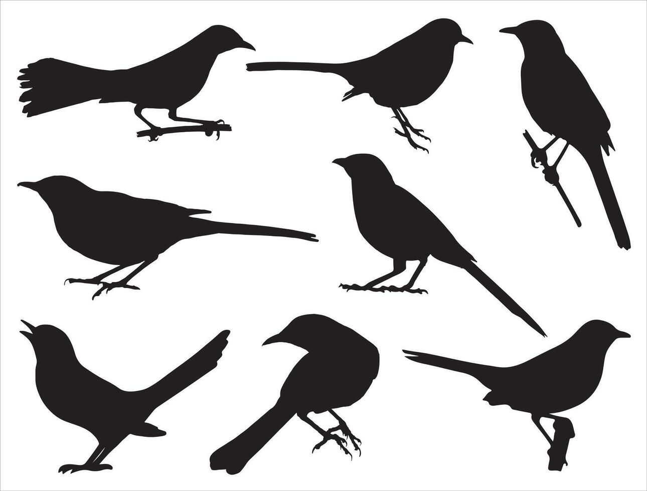 Mocking bird silhouette on white background vector