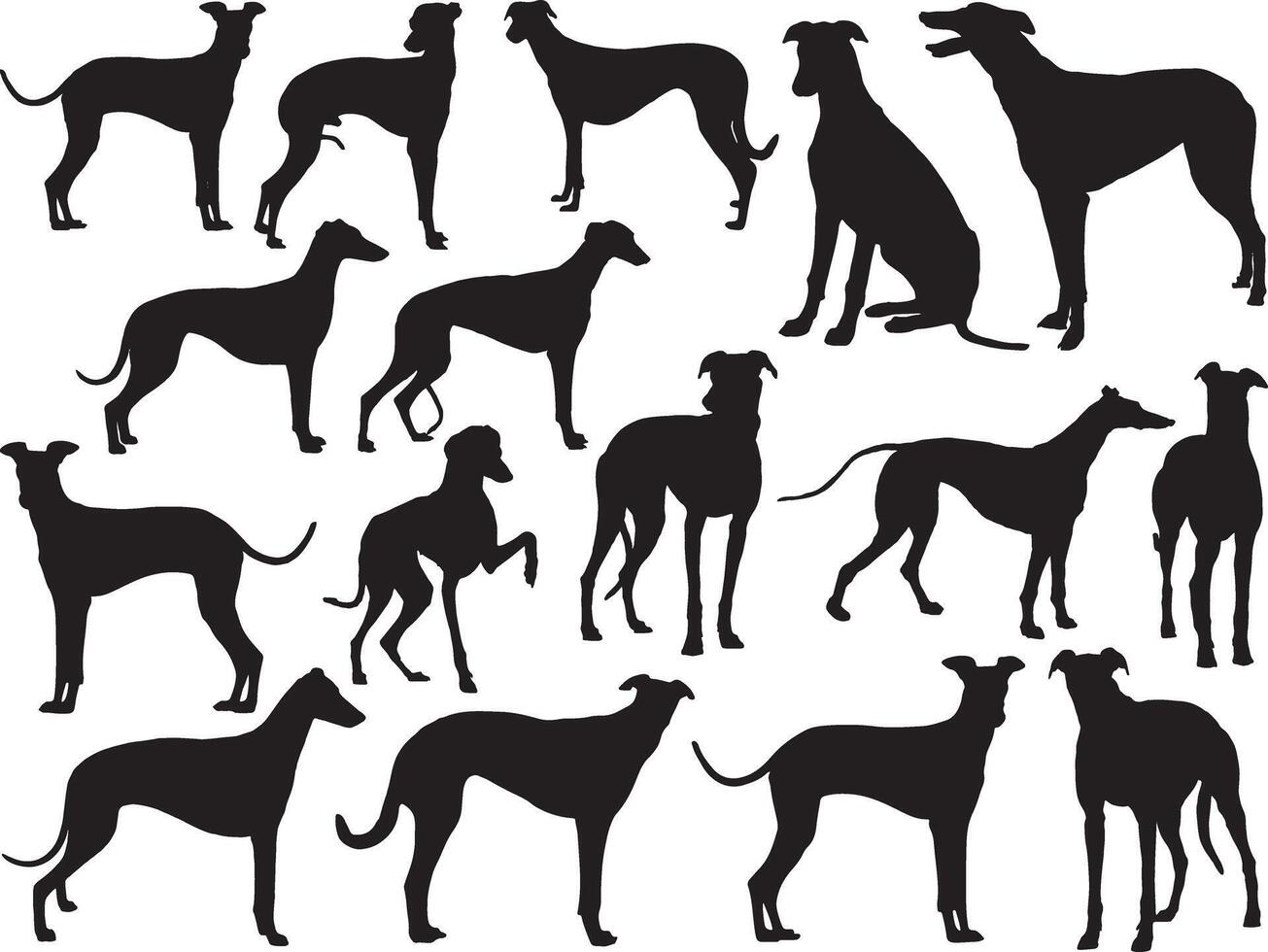 galgo perros silueta en blanco antecedentes vector