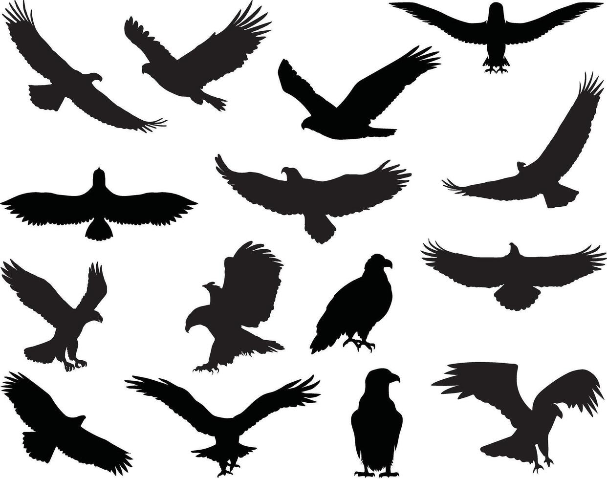 Eagle silhouette on white background vector