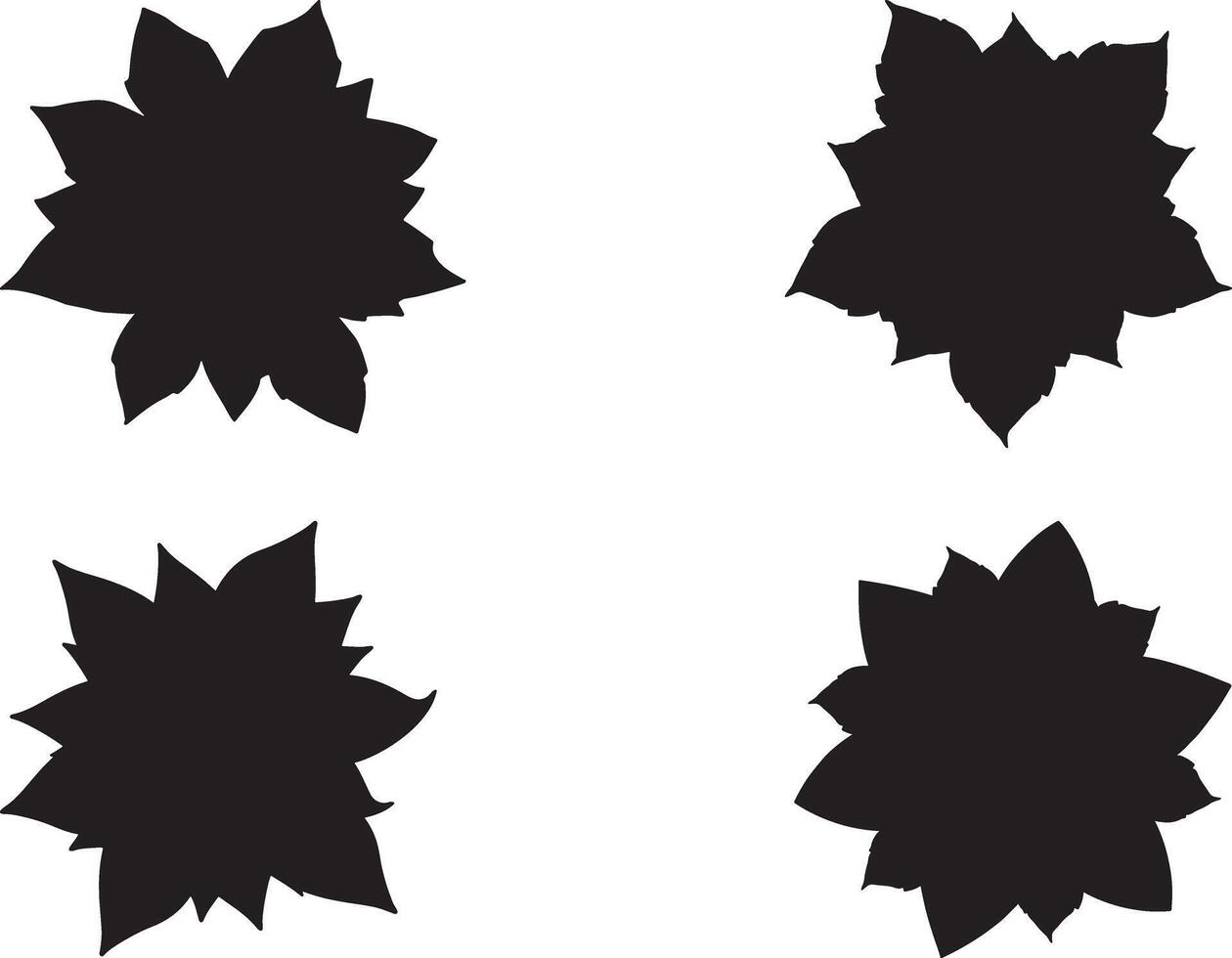 Poinsettia flowers silhouette on white background vector