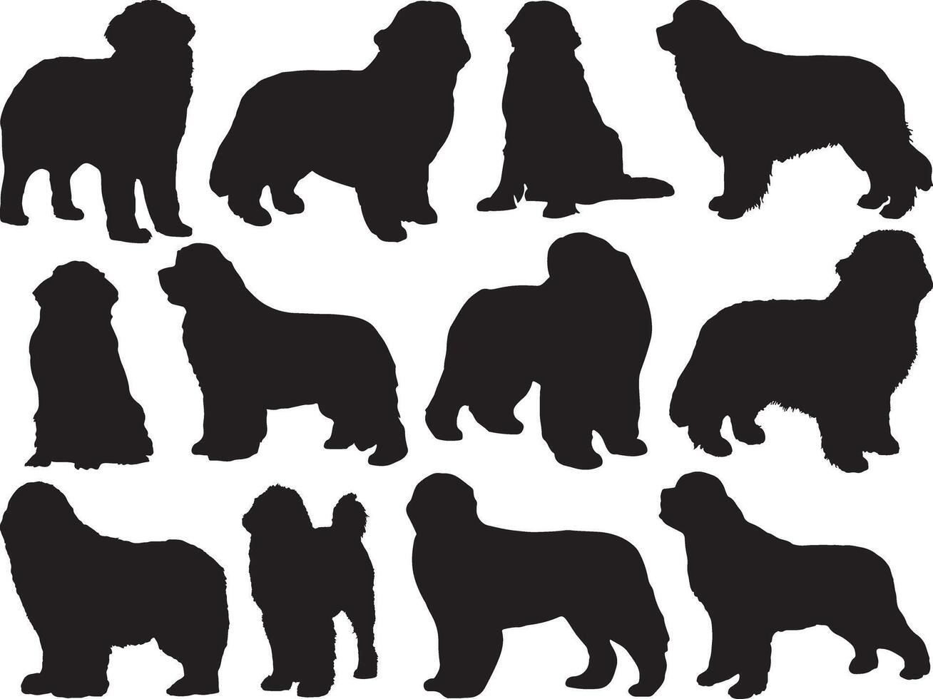 Newfoundland dogs silhouette on white background vector
