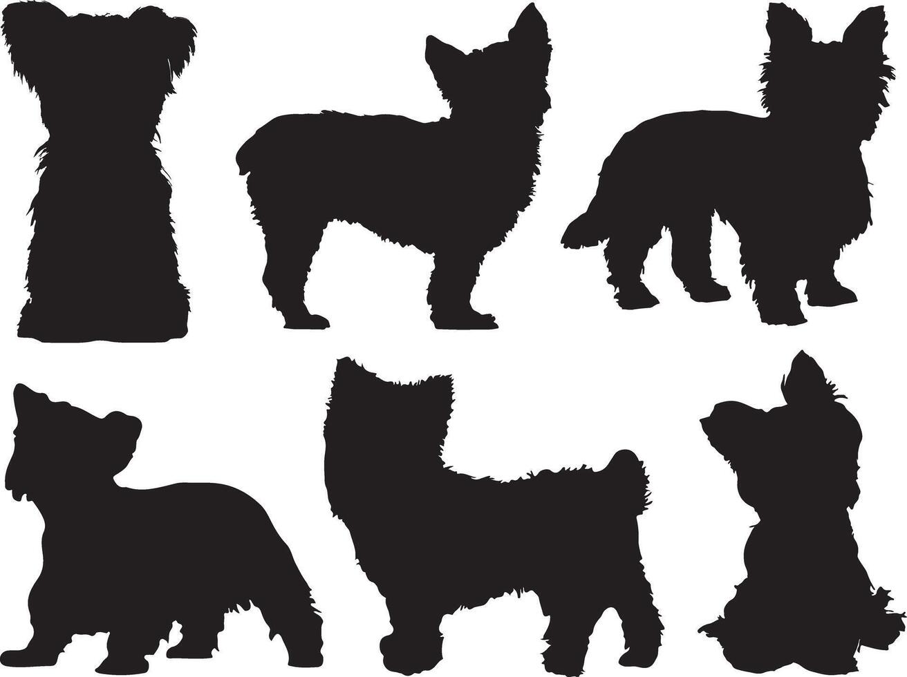 Yorkshire terrier dogs silhouette on white background vector