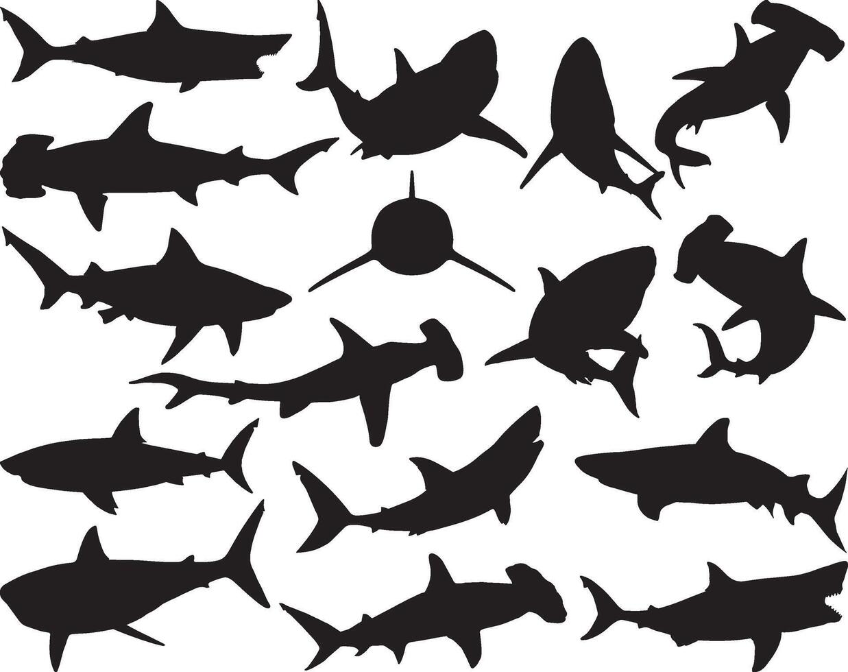 tiburón silueta en blanco antecedentes vector