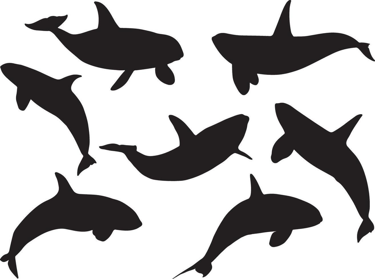 Killer shark silhouette on white background vector