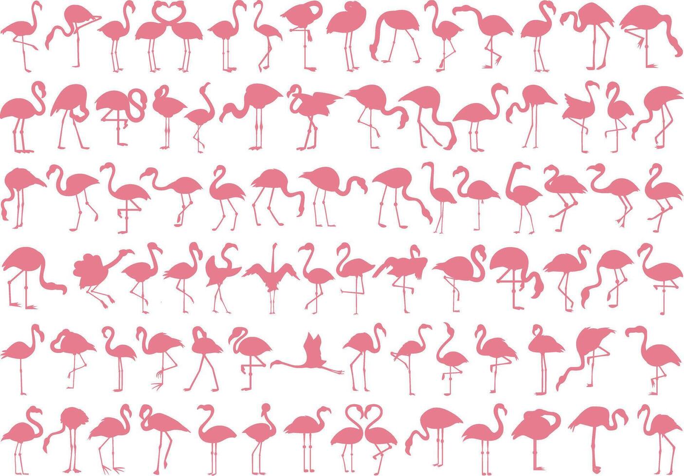 Pink flamingo silhouette on white background vector