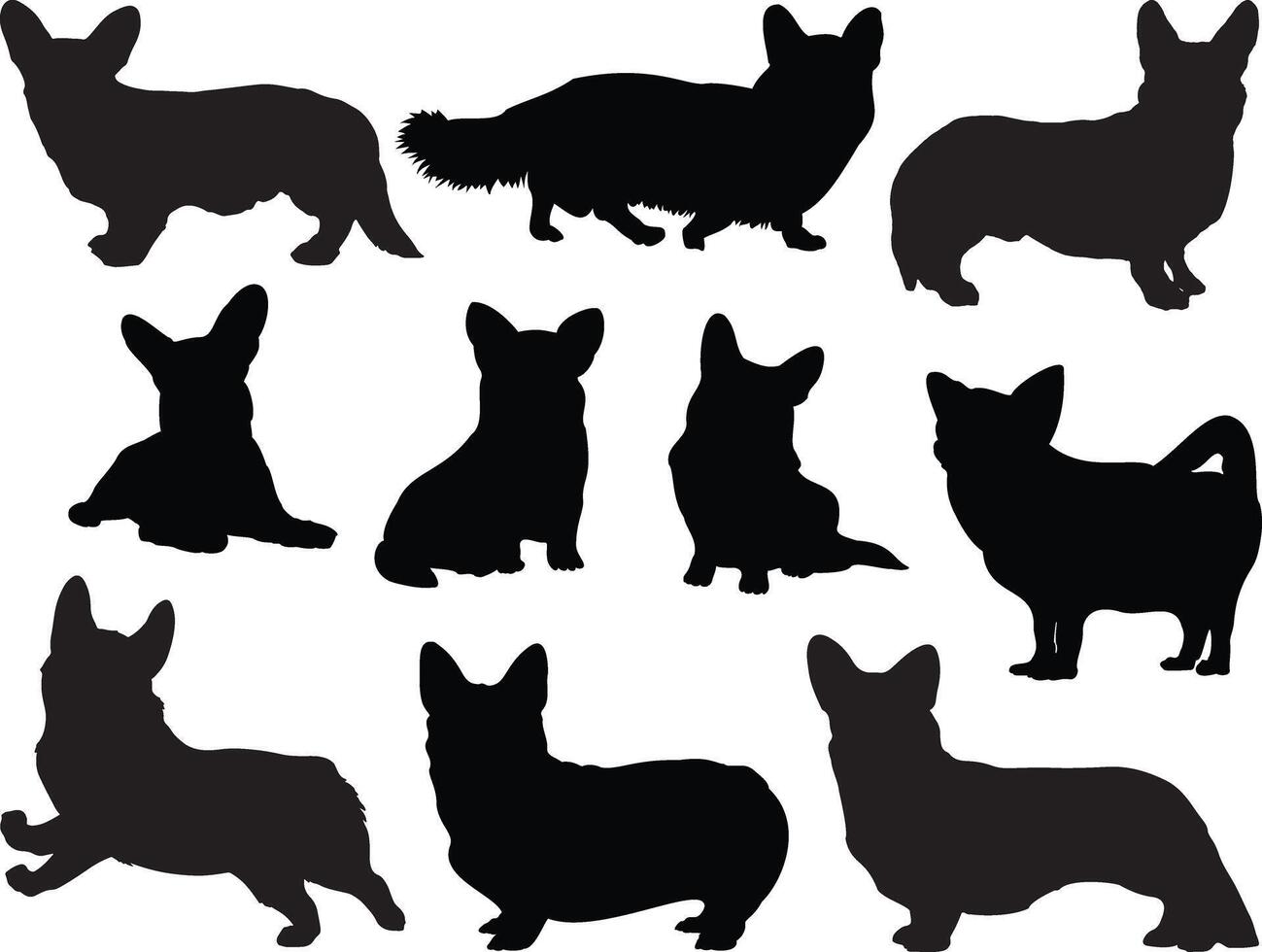 Corgi dog silhouette on white background vector