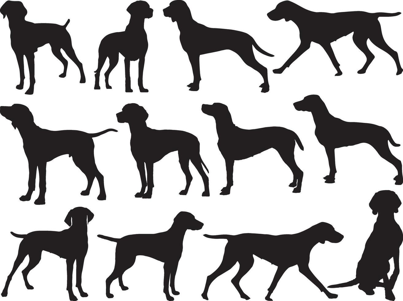 vizsla perros silueta en blanco antecedentes vector