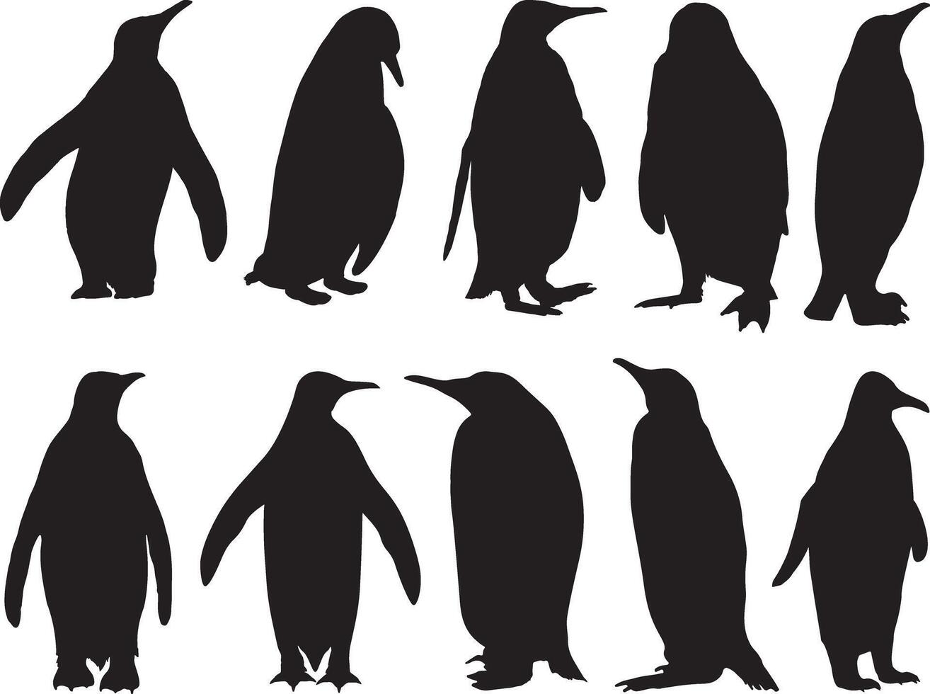 Penguin silhouette on white background vector