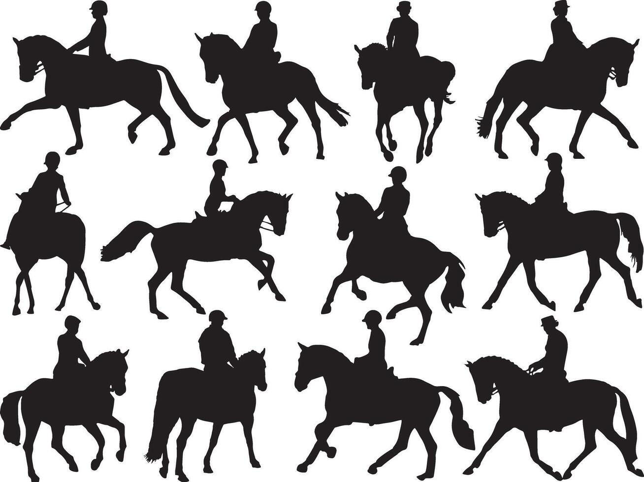 Horse dressage silhouette on white background vector