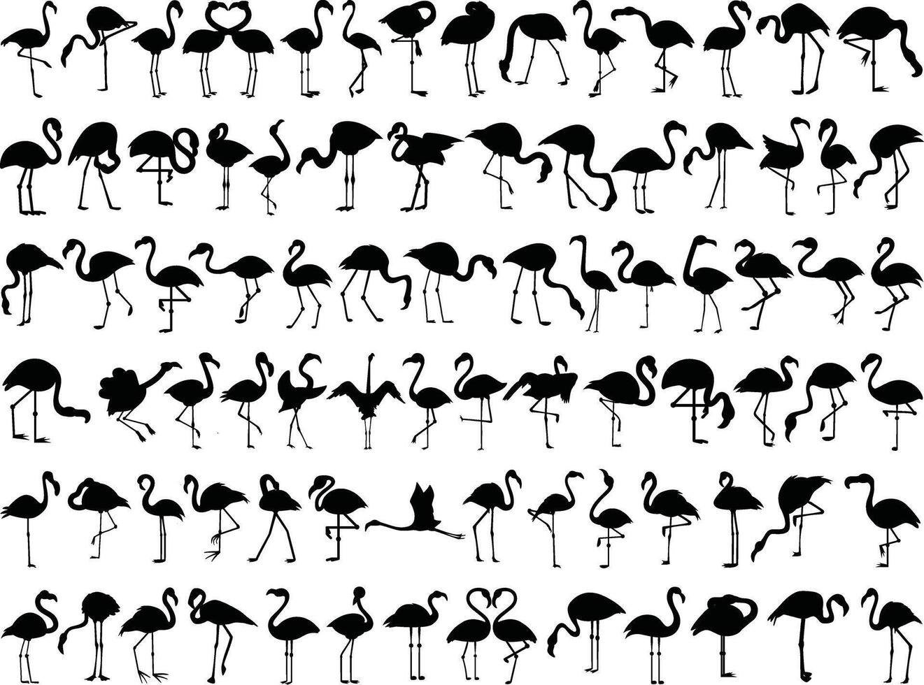 Flamingo silhouette on white background vector