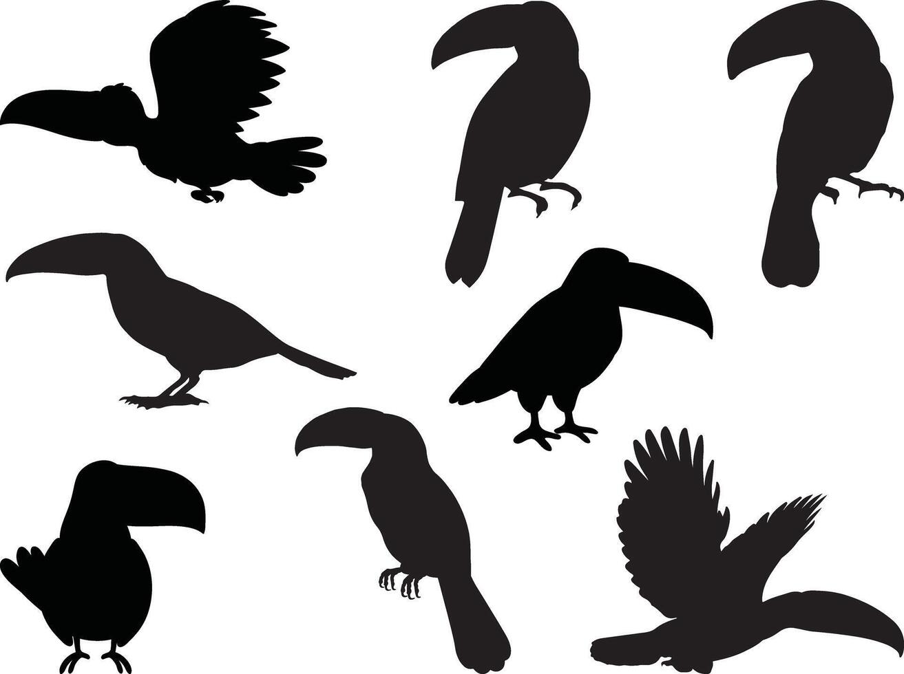 Toucan silhouette on white background vector