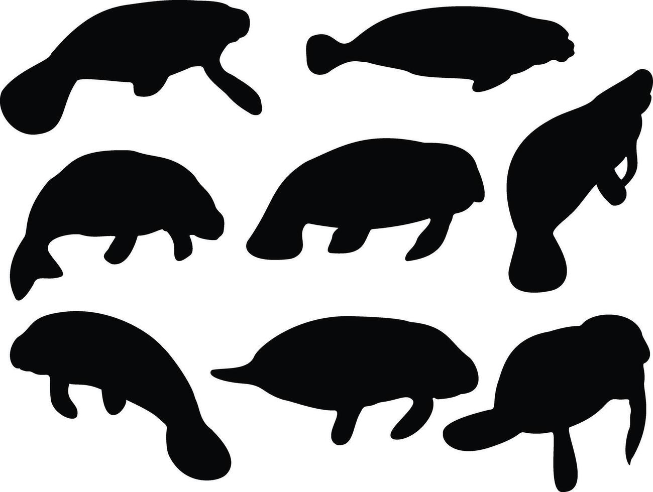 Manatee silhouette on white background vector
