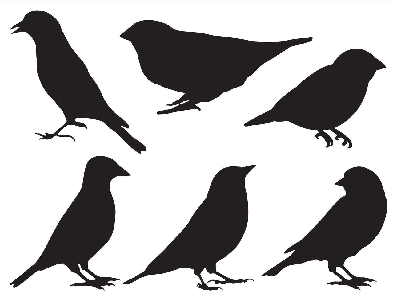 Finch birds silhouette on white background vector