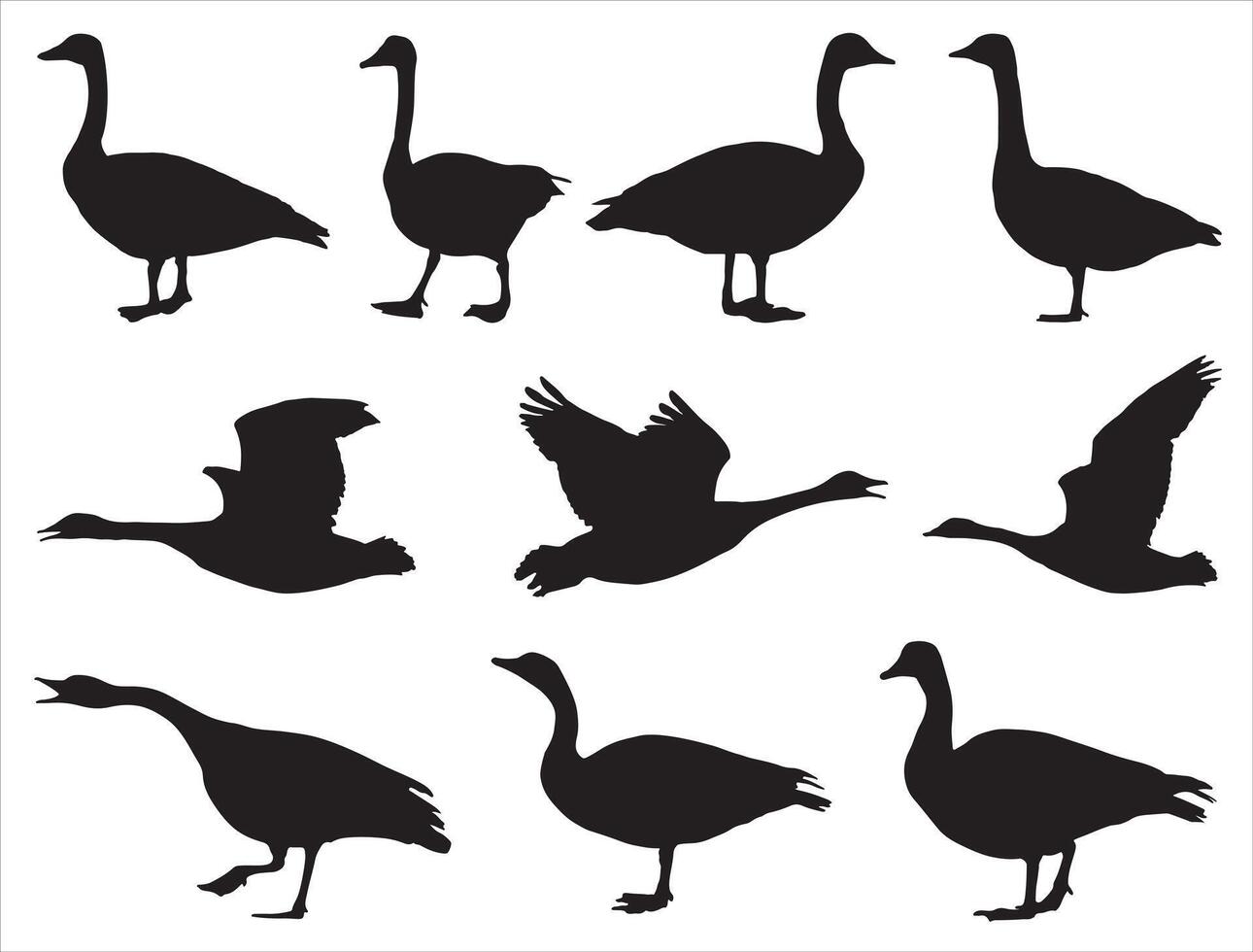 Canada goose silhouette on white background vector