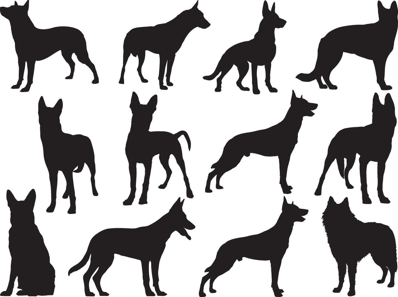 Belgian shepherd dogs silhouette on white background vector