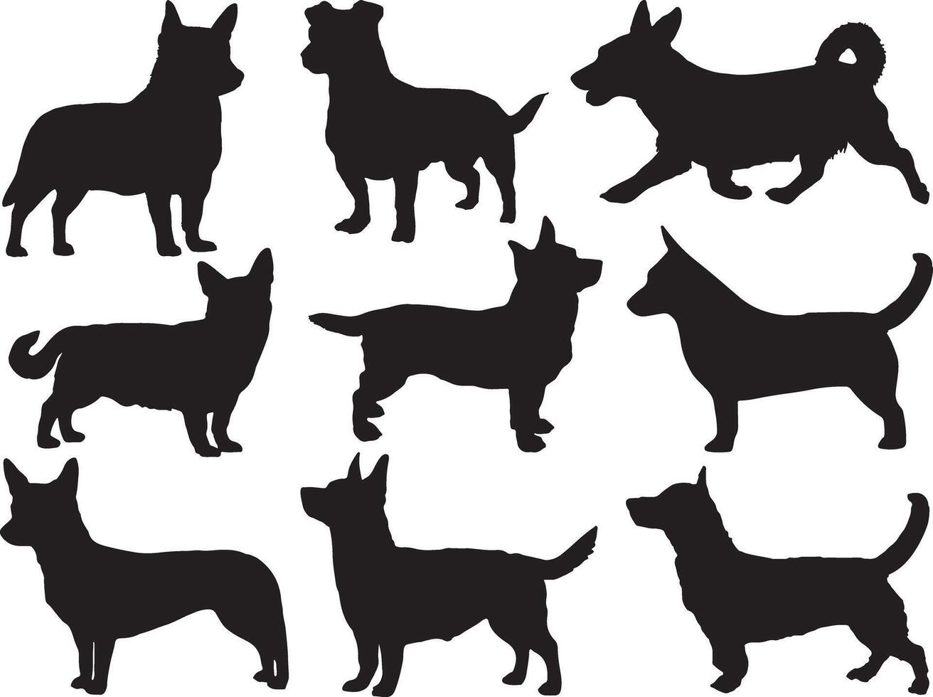 Lancashire heeler dogs silhouette on white background vector
