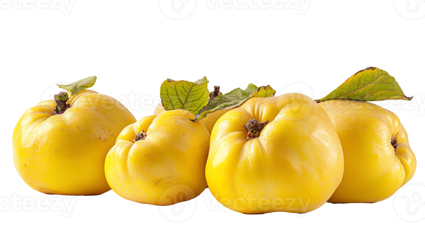 fresh Quinces transparent visual png
