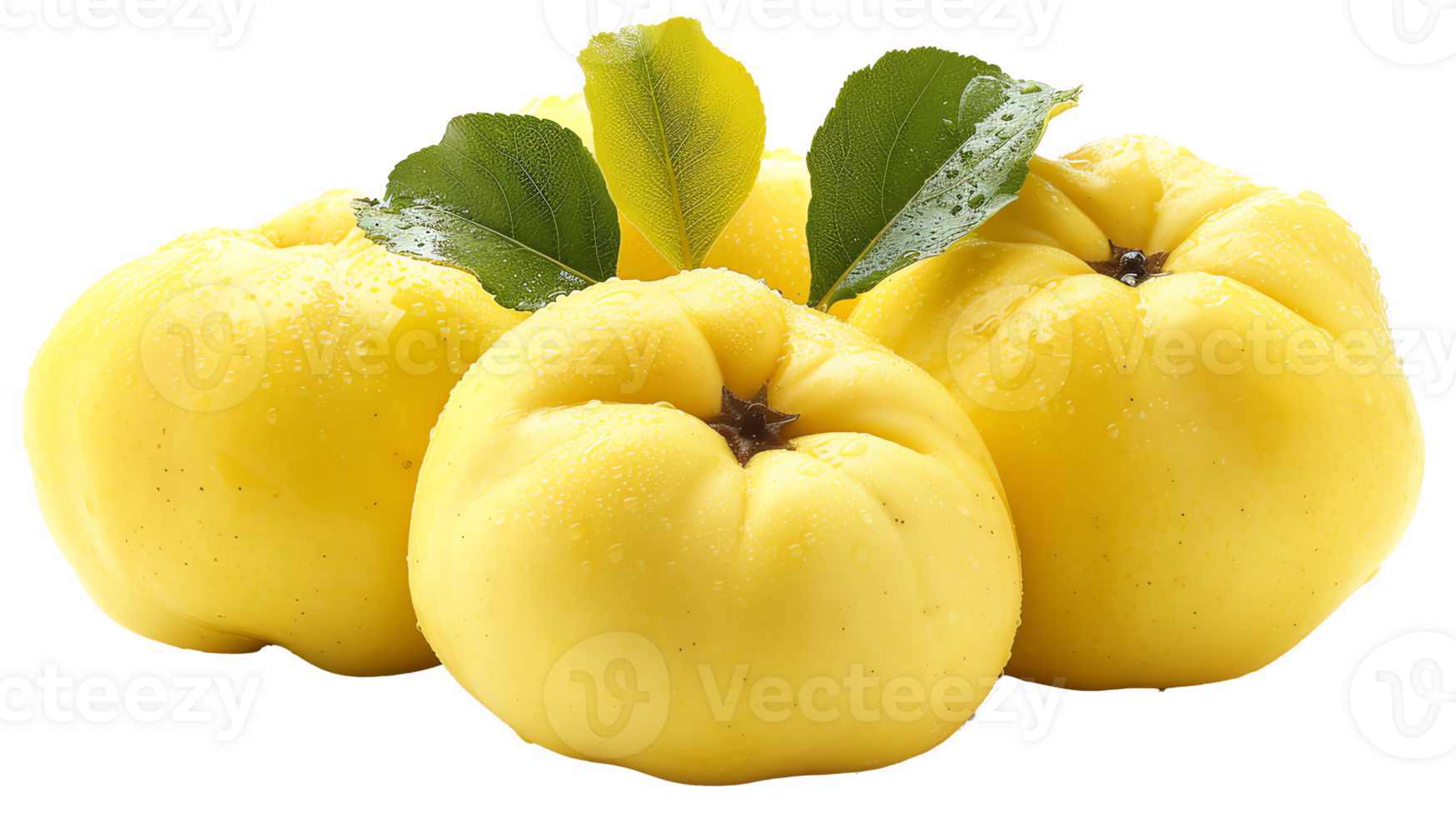 fresh Quinces transparent photo png
