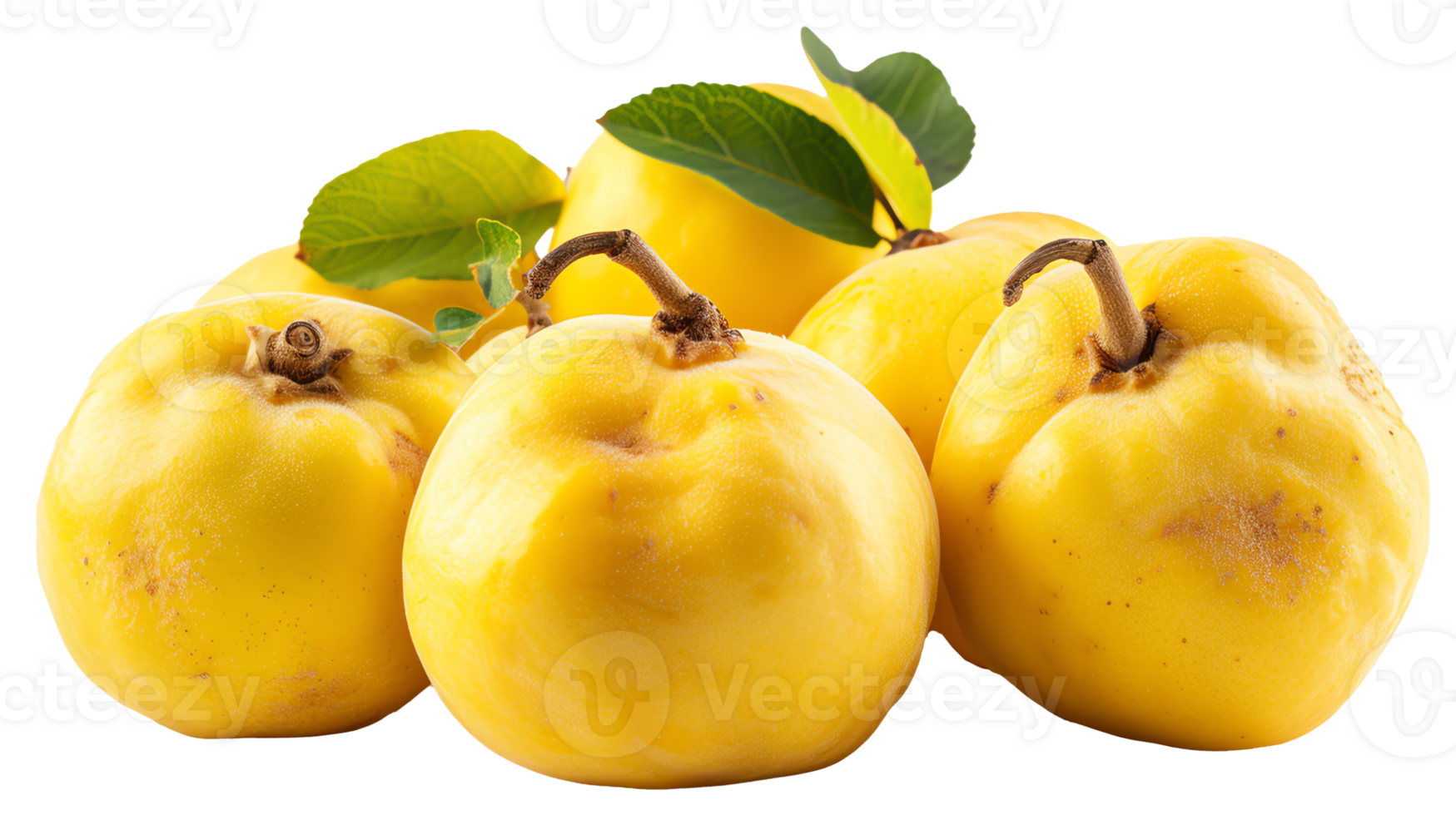 fresh Quinces clear image png