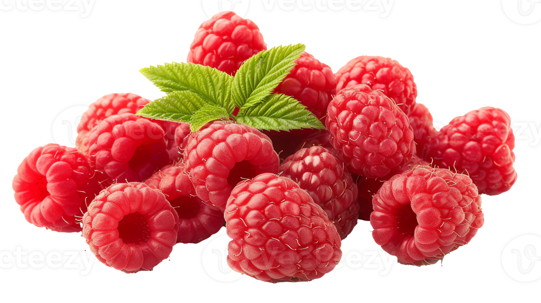 fresh Raspberries transparent photo png