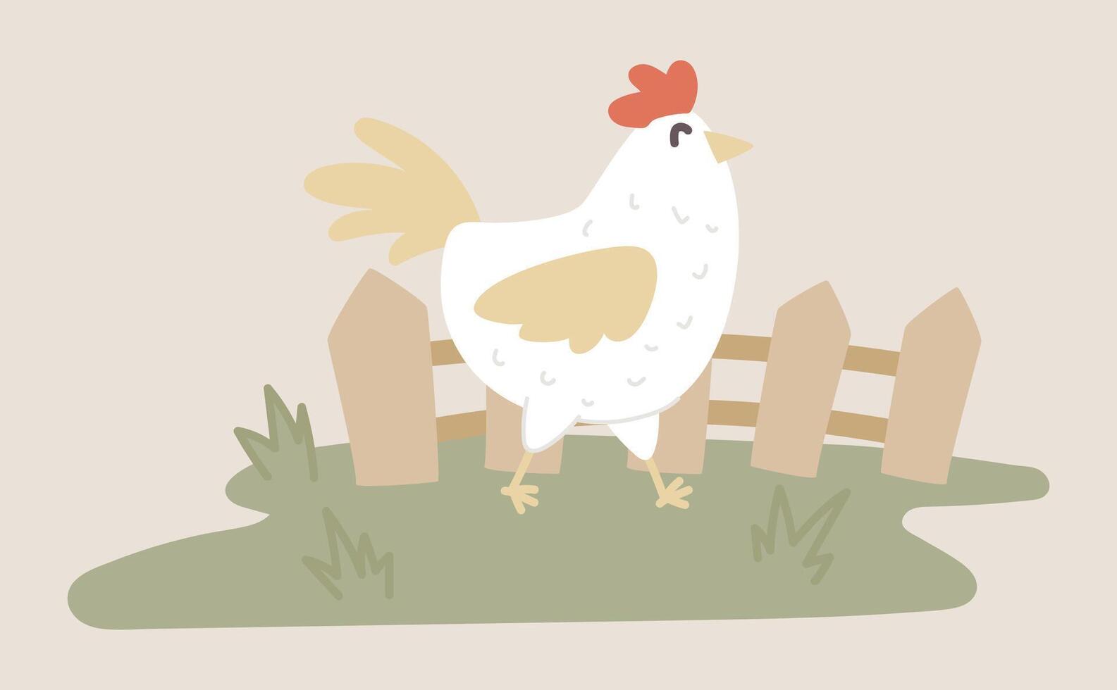 Chicken grazing at grass by fence in flat design. Poultry ranch farming. illustration isolated. vector