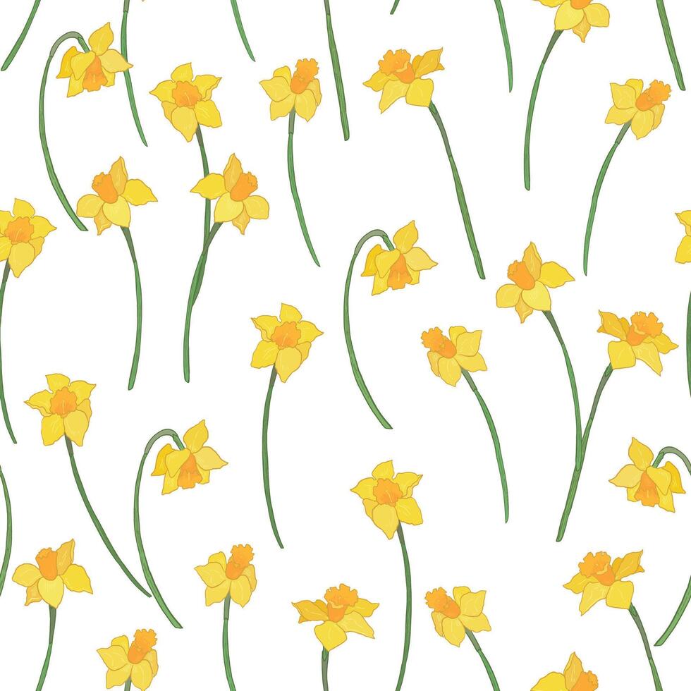 Daffodils seamless pattern. Hand drawn flowers. vector