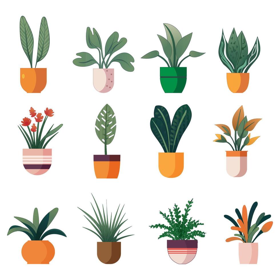 Various indoor plants and flowers vector