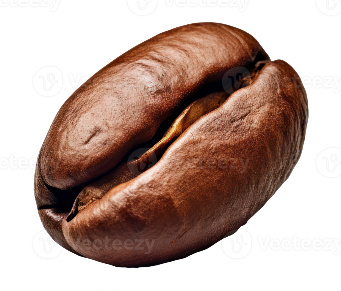 coffee bean isolated on transparent background png