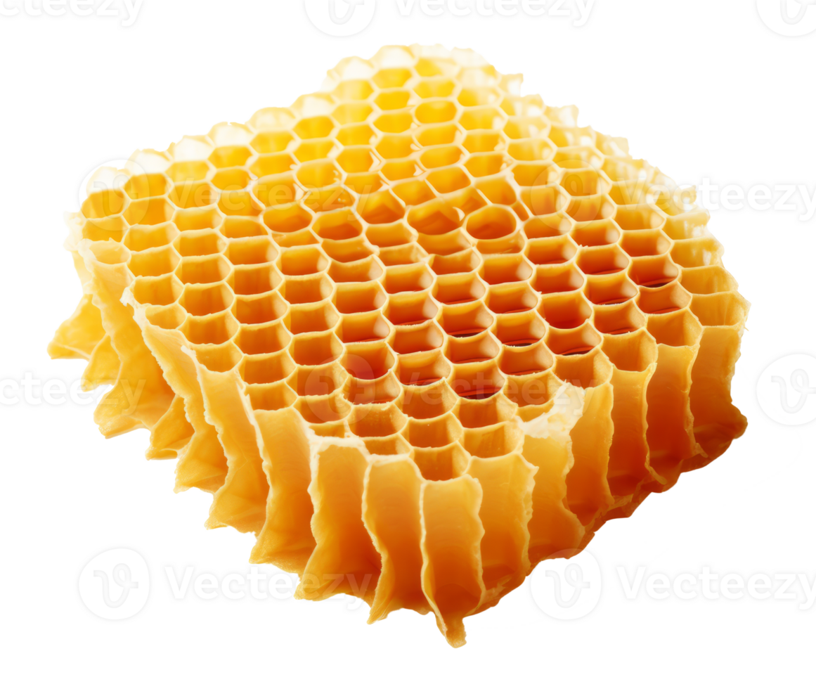 honey comb isolated on transparent background png