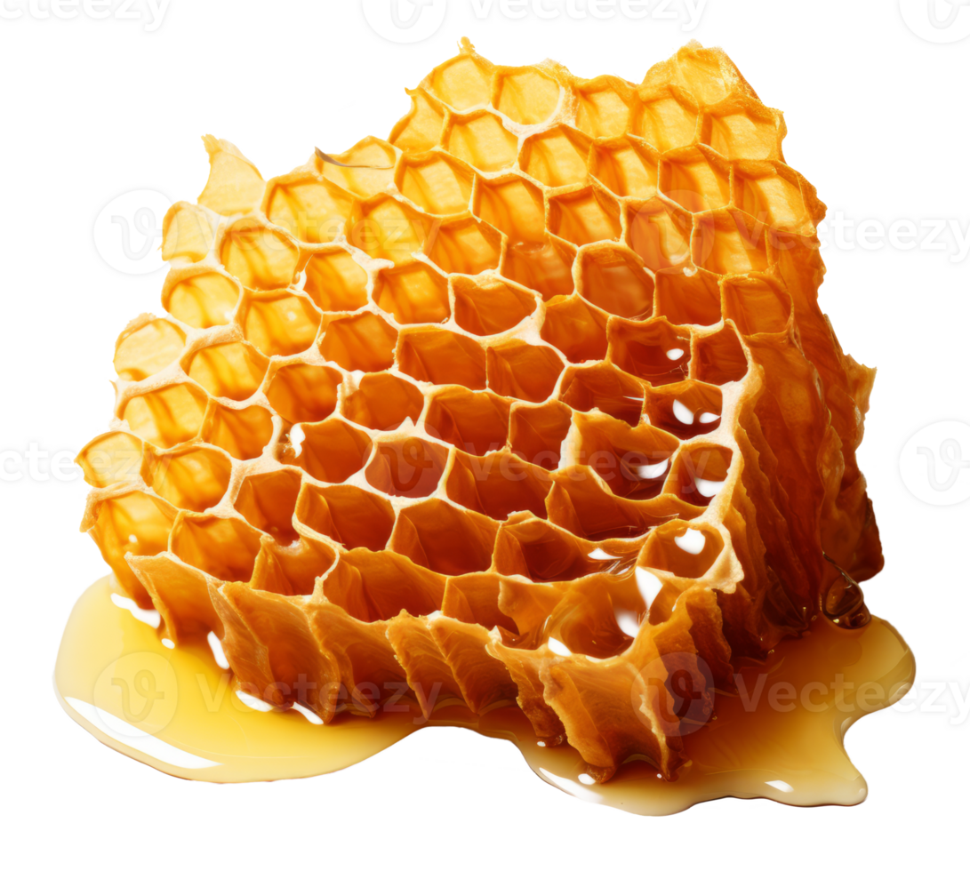 honey comb isolated on transparent background png