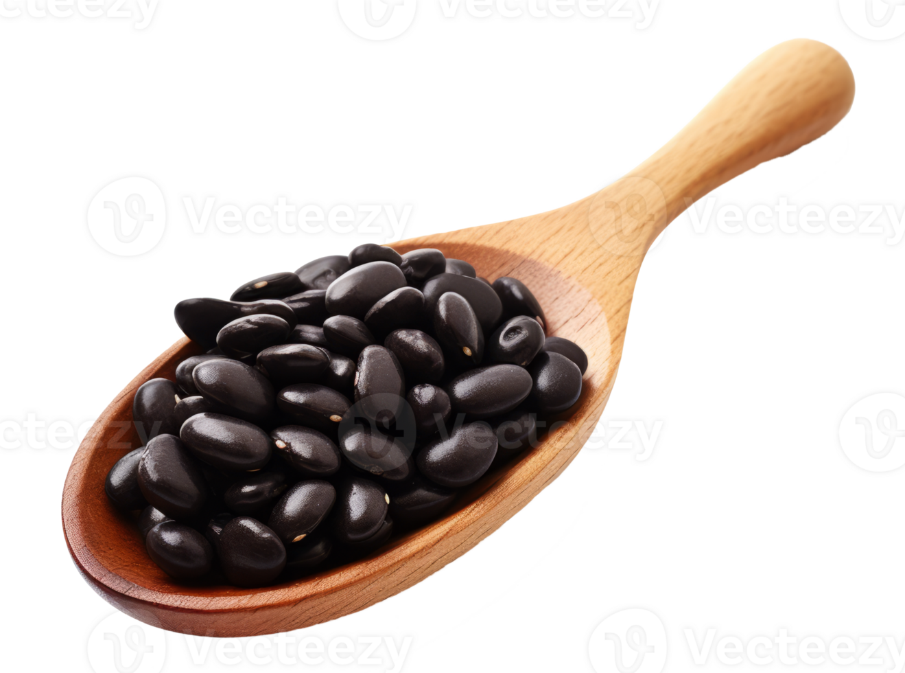 black bean isolated on transparent background png