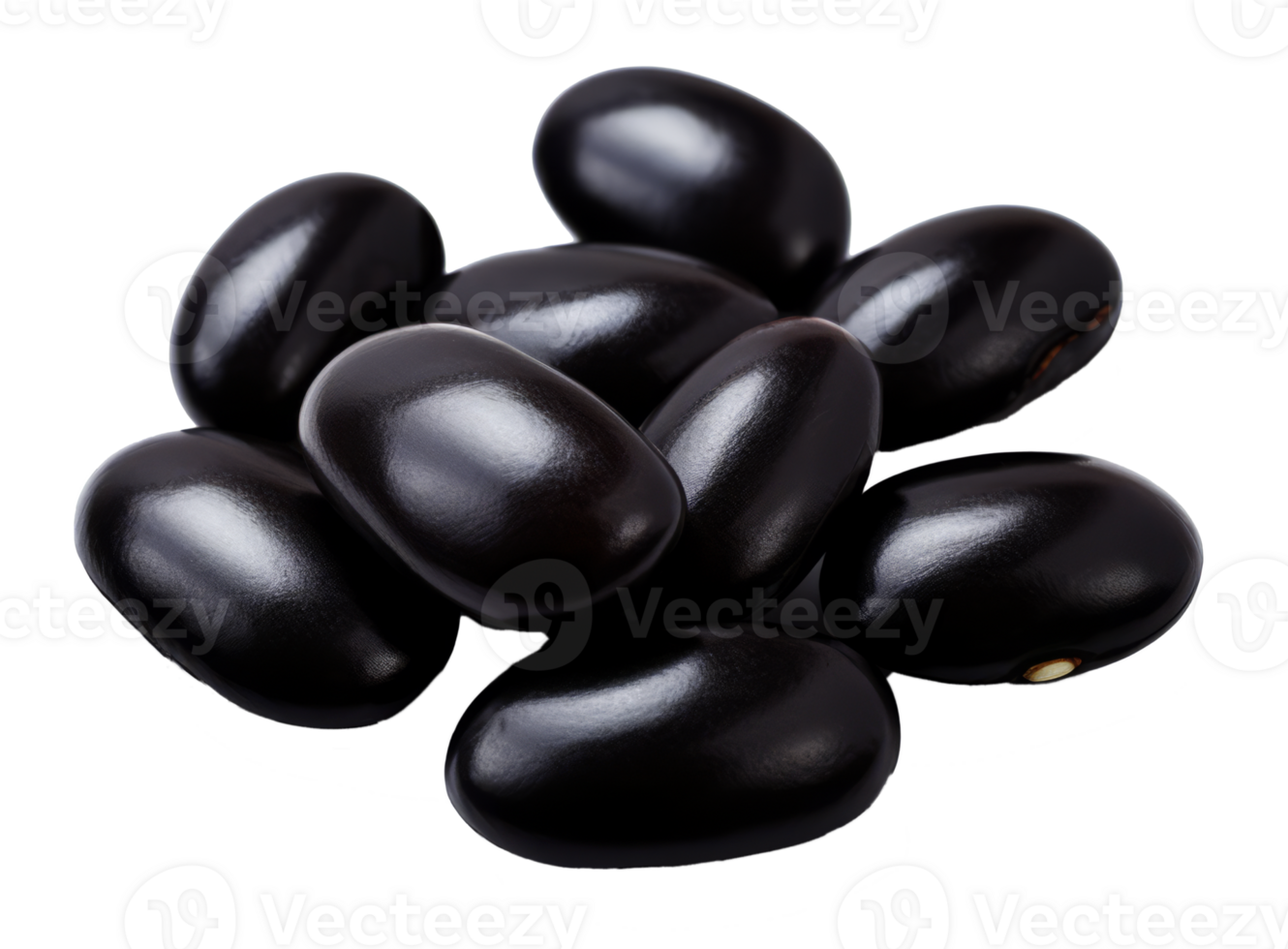 black bean isolated on transparent background png