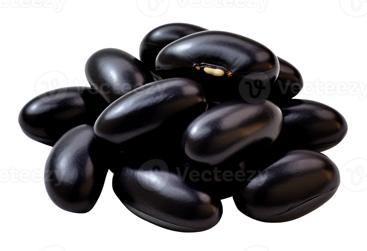 black bean isolated on transparent background png