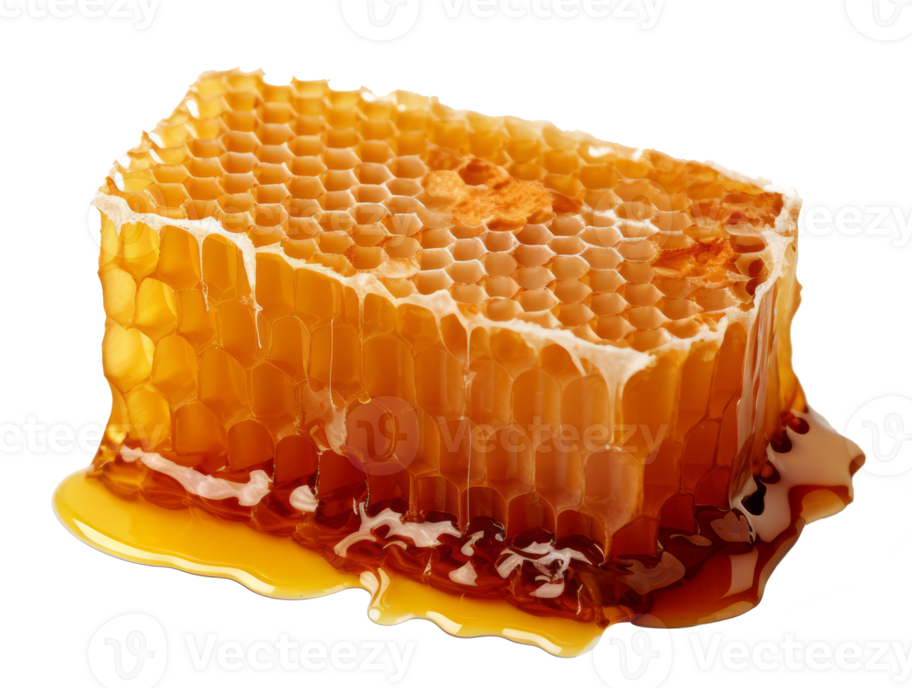 honey comb isolated on transparent background png