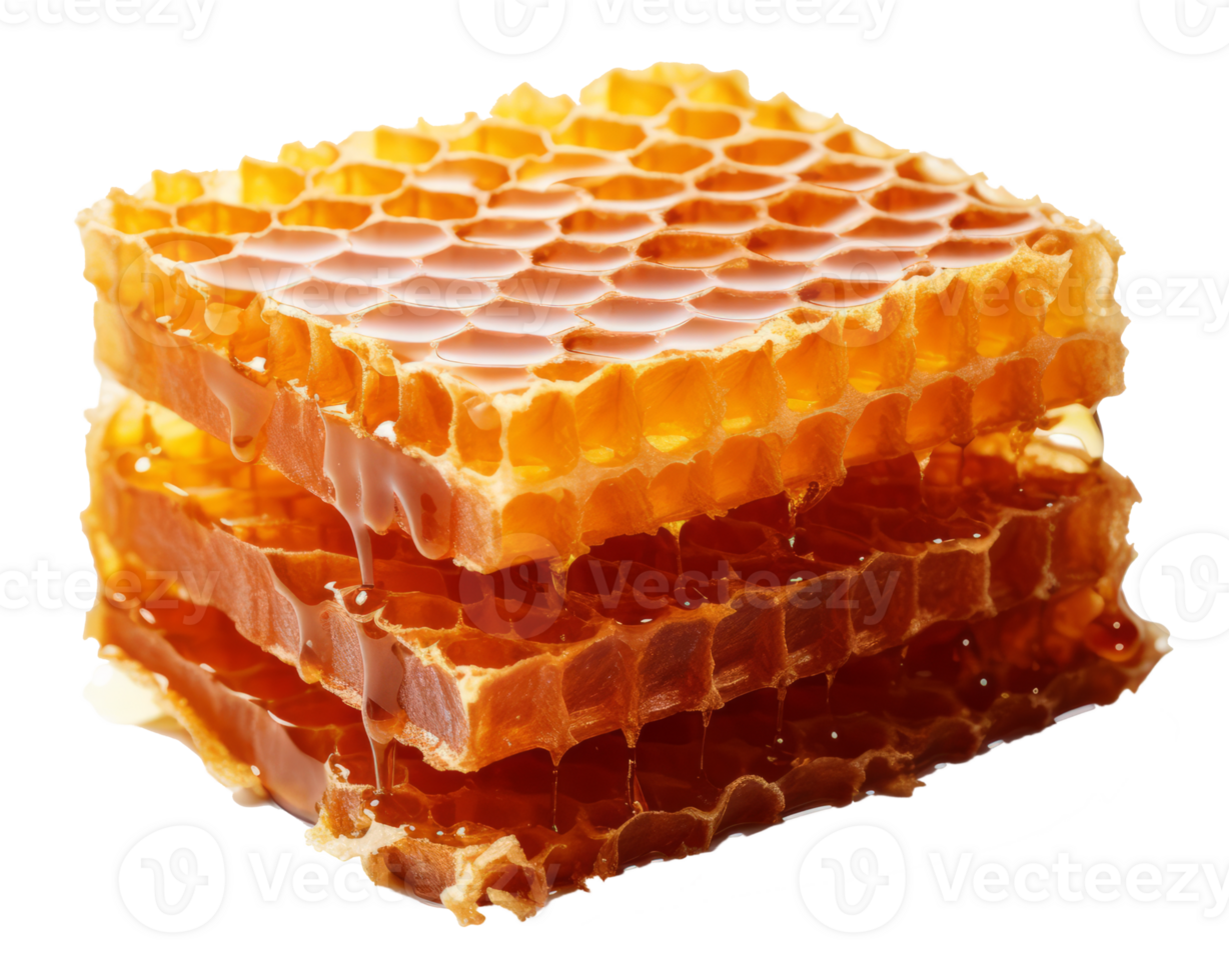 honey comb isolated on transparent background png