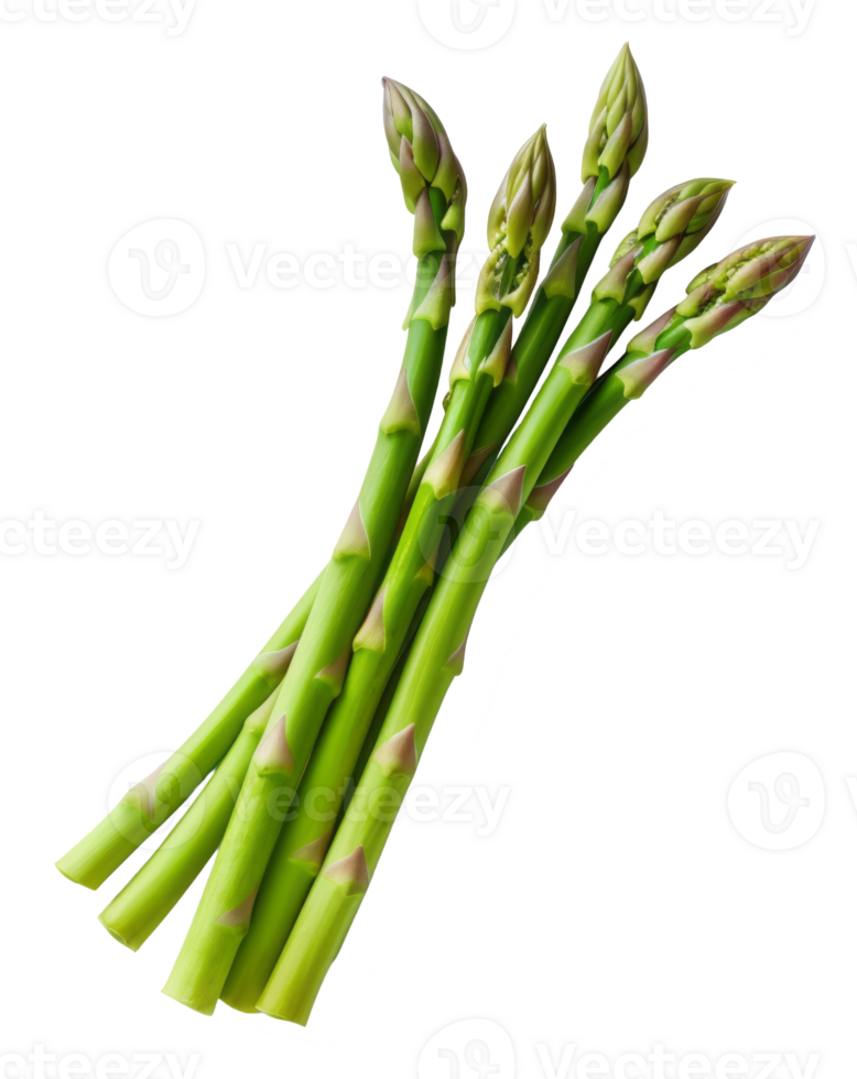 asparagus isolated on transparent background png